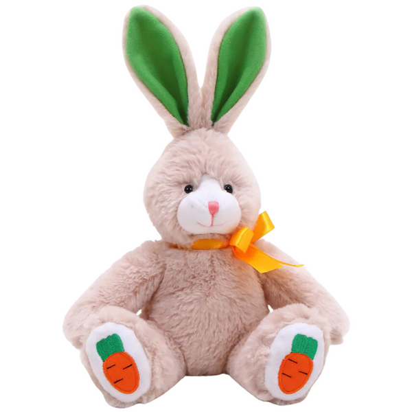 9" Long Ear Stuffed Animal Bunny with Spring Flower/Carrot accent on foot
