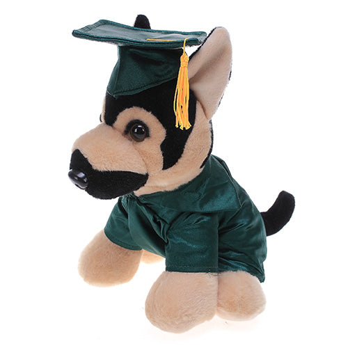 Graduation stuffed new arrivals dog