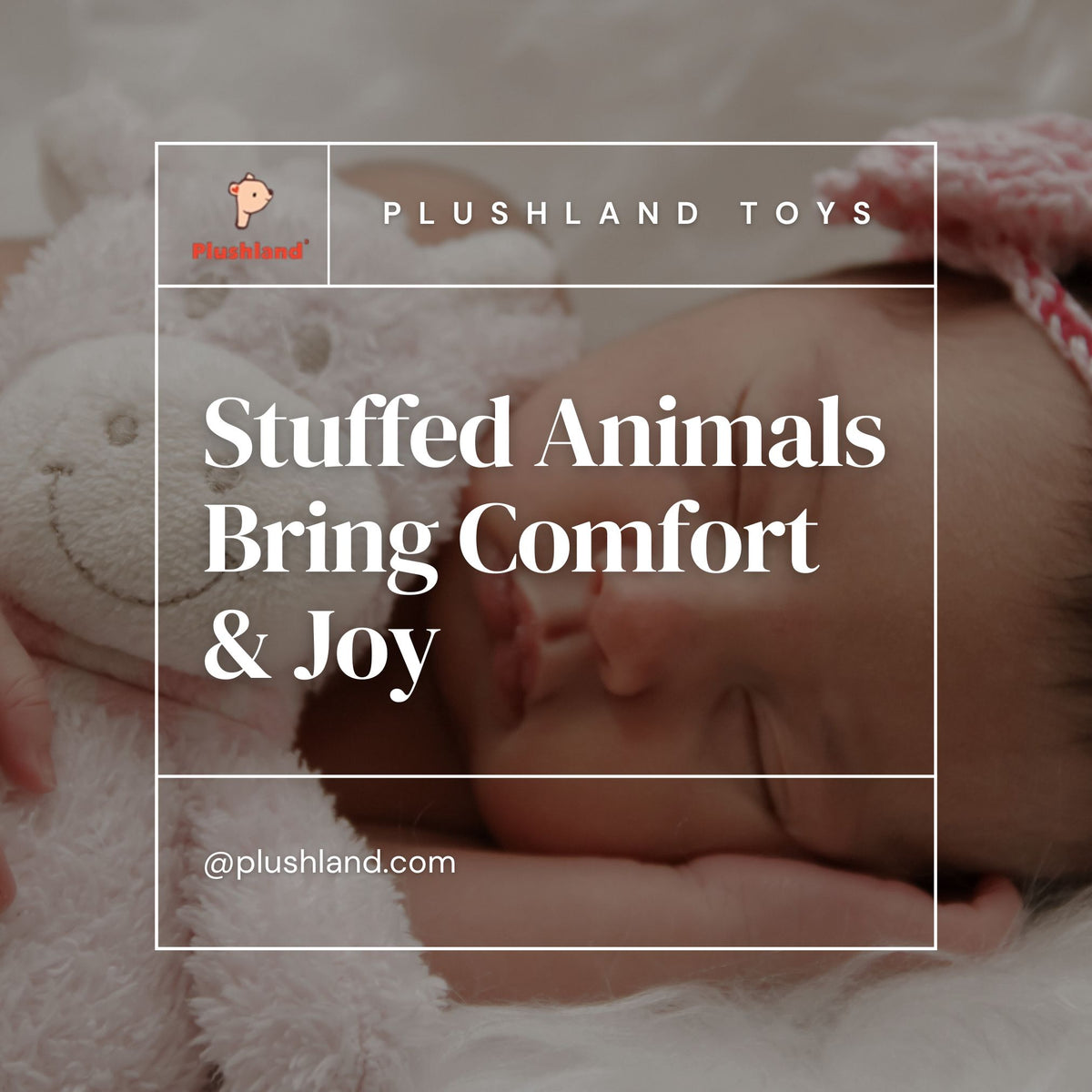 Stuffed animals bring comfort and joy