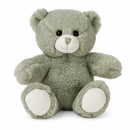 Green Soft Bear 8"-1