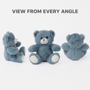 Blue Soft Bear 8"-4