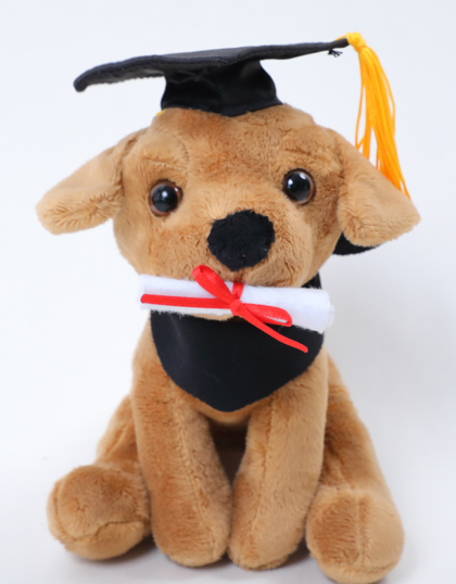 Graduation Pawpal Lab 8"