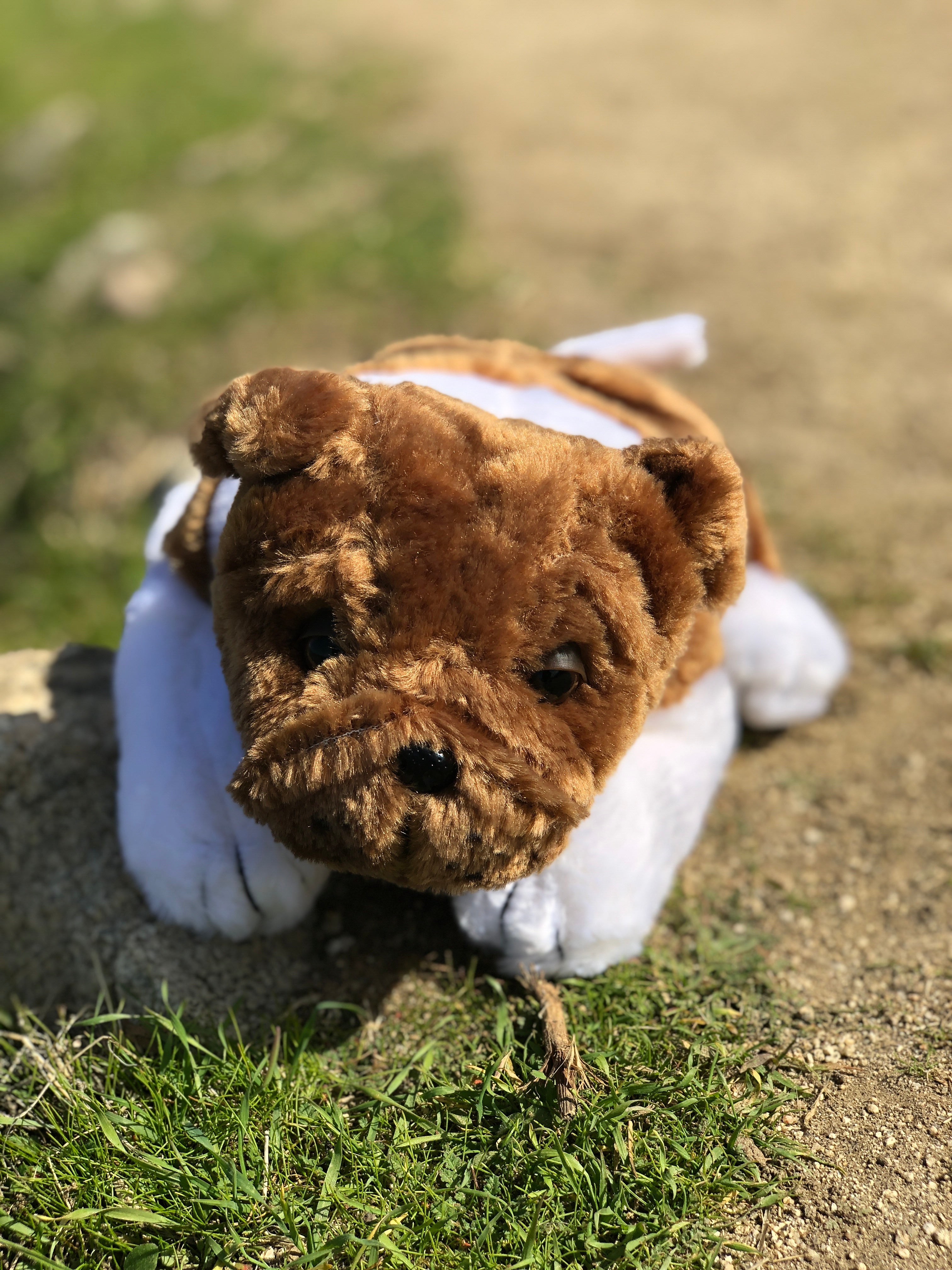 Adorable Bulldog Puppet Toy