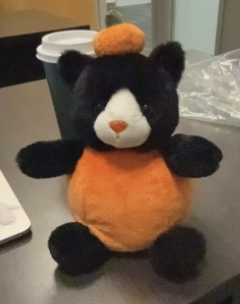 Halloween Pumpkin Cat 8"