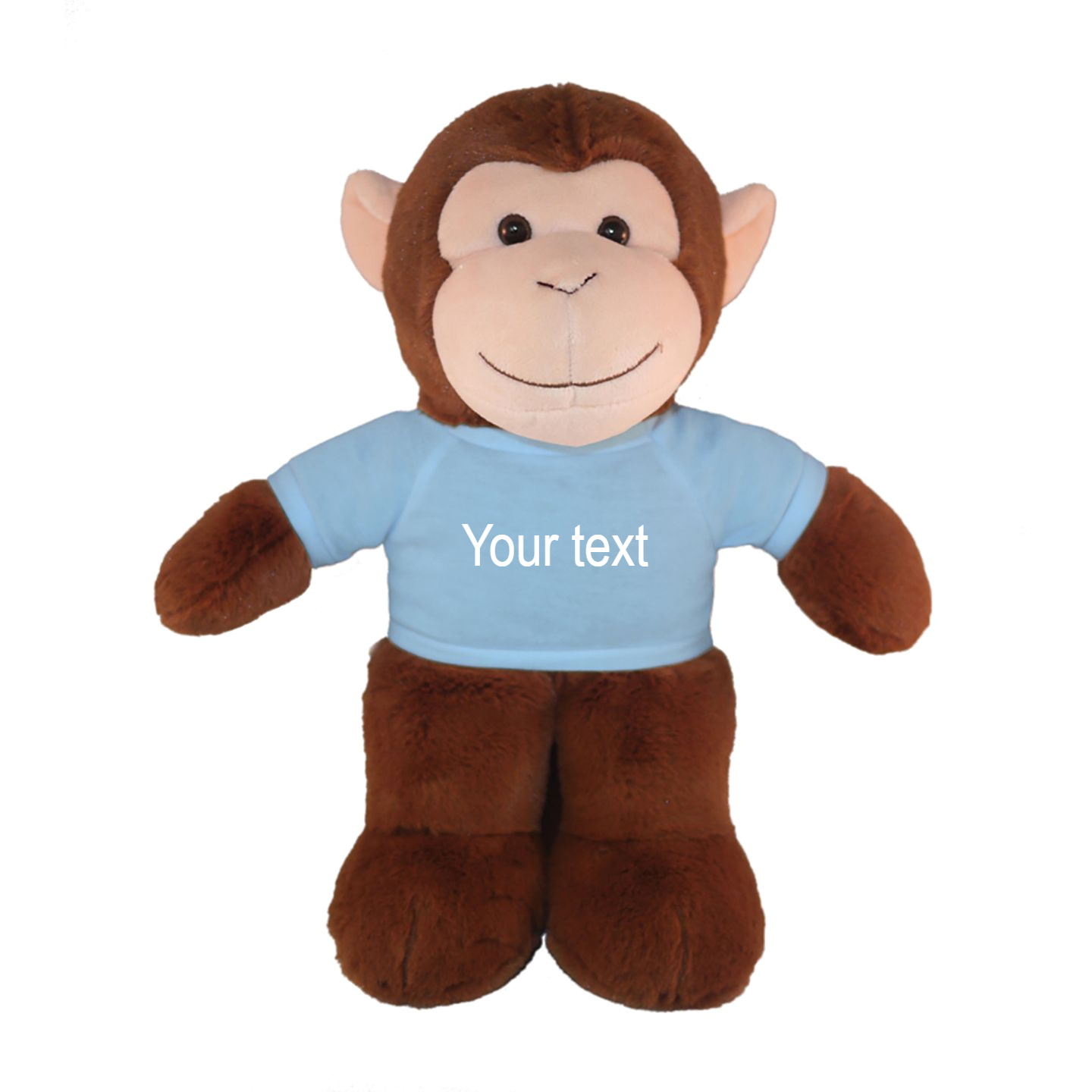 8" Floppy Monkey