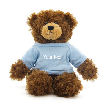 11" Brandon Chocolate Teddy Bear
