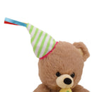Birthday Star Bear with Hat 8"-5