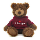 Frankie Bear with Love Hoodie 10"-1