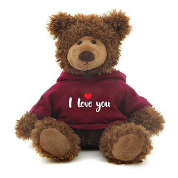 Frankie Bear with Love Hoodie 10"