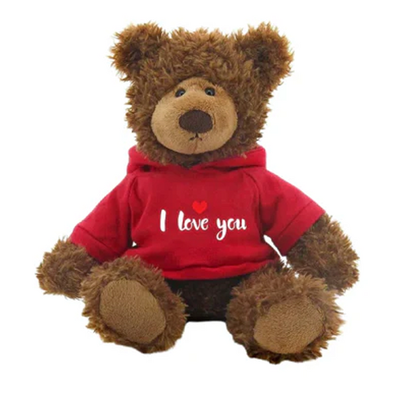 Frankie Bear with Love Hoodie 10"