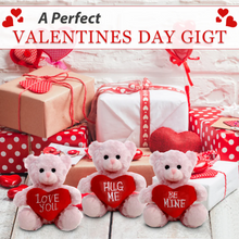 Valentine Pink  Sitting Bear 6