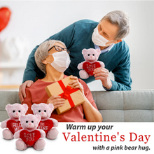 Valentine Pink  Sitting Bear 6