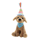 Customizable Birthday Lab-1