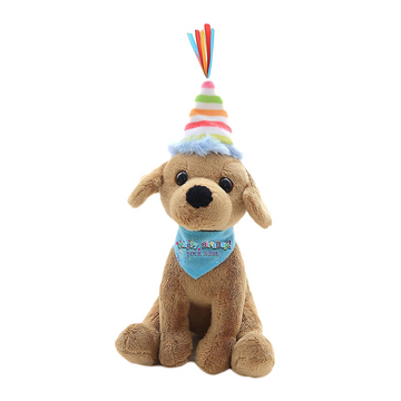 Customizable Birthday Lab