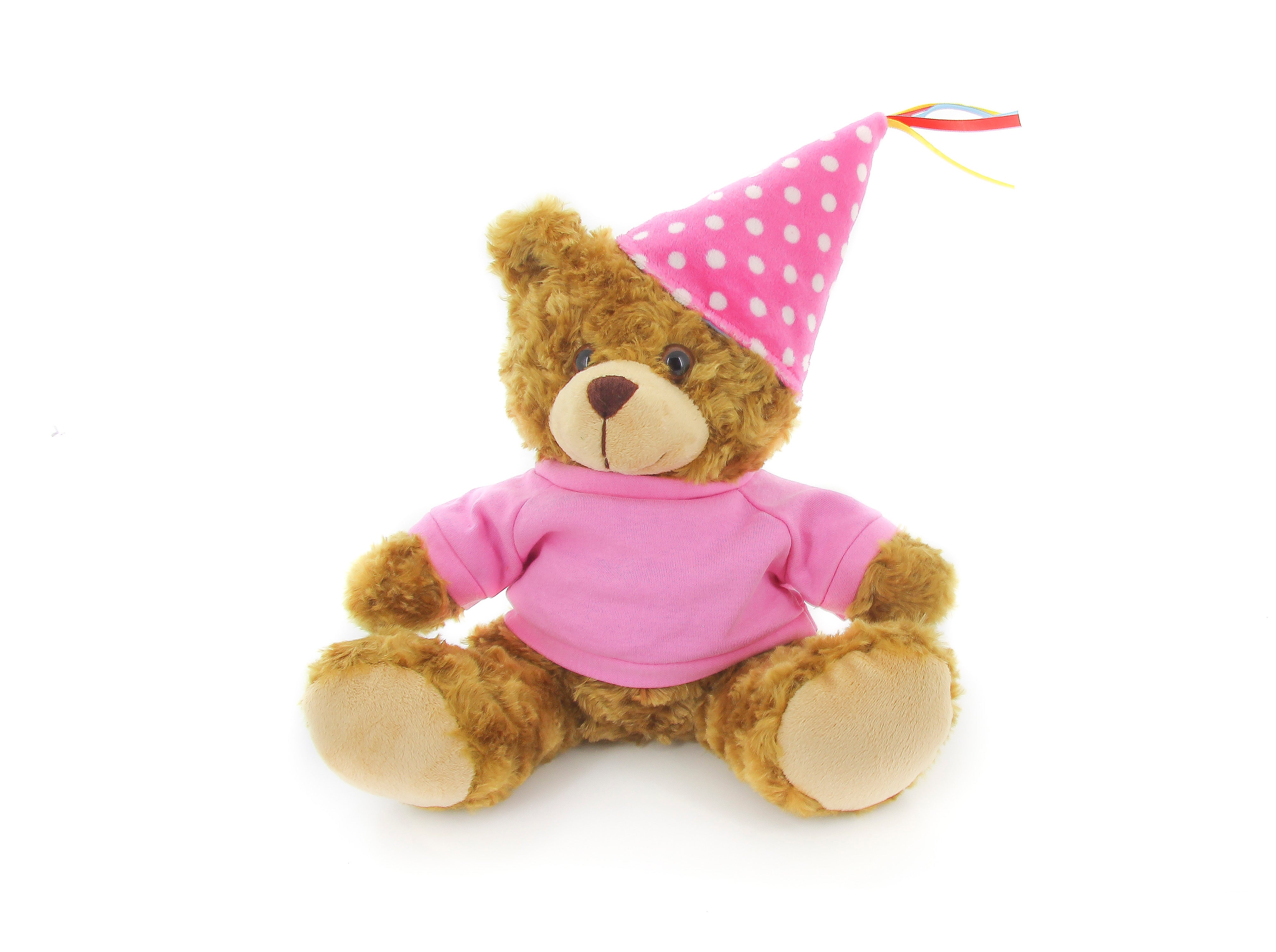 Mocha Bear with Pink T-Shirt 12"