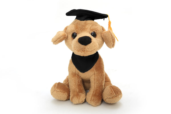 Graduation Pawpal Lab Black 8"