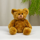 Duffy Stuffed Bear 10"-1