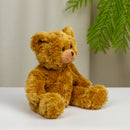 Duffy Stuffed Bear 10"-2