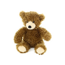 Junior Teddy Bear 10"-1