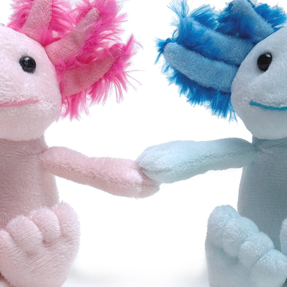 Magnetic Axolotl Pair - Coral & Aqua 4''