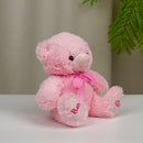 Baby Boy & Bab Girl Bear 9''-2