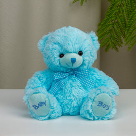 Baby Boy Blue Teddy Bear 9"