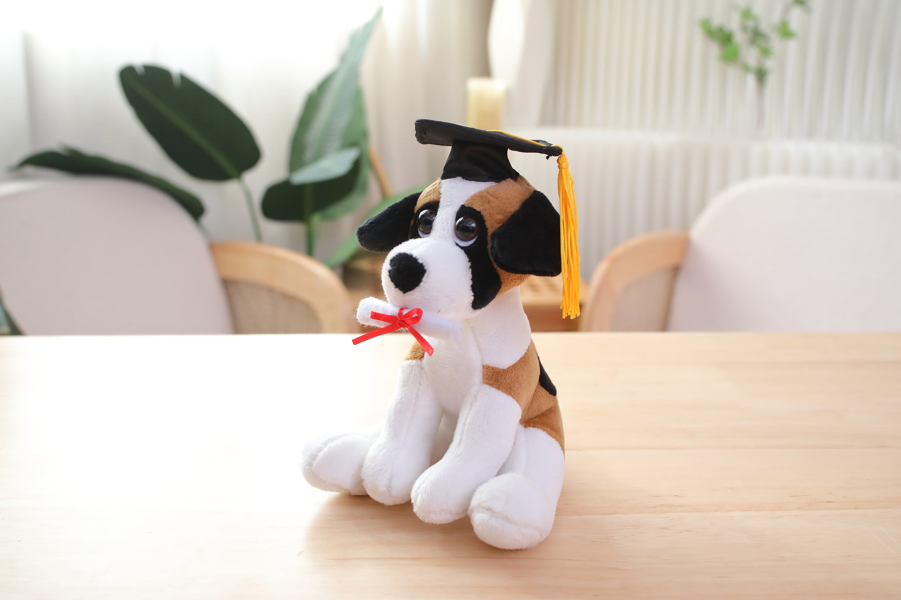 Graduation Cuddly Dog Toy 8"