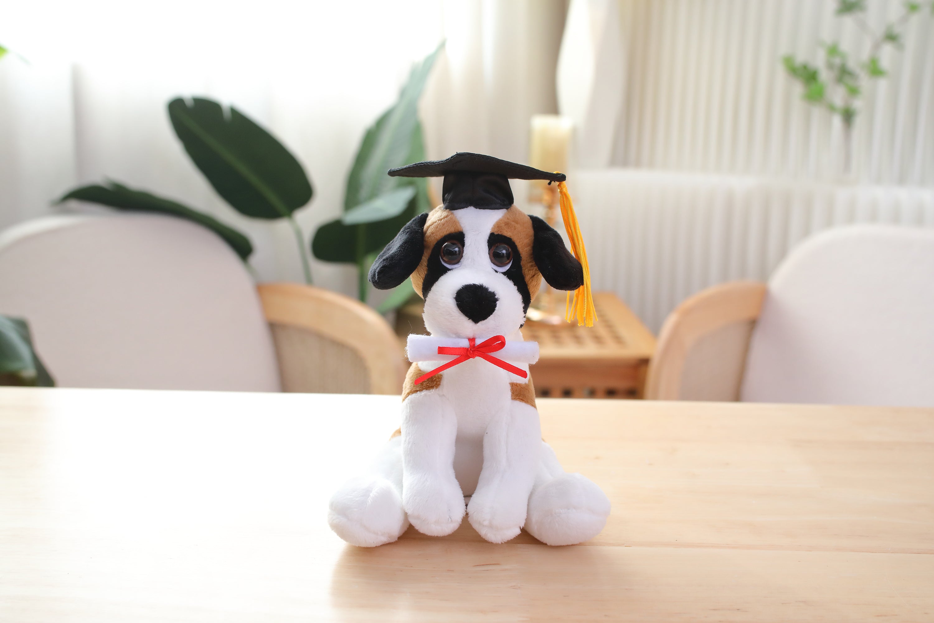 Graduation Cuddly Dog Toy 8"