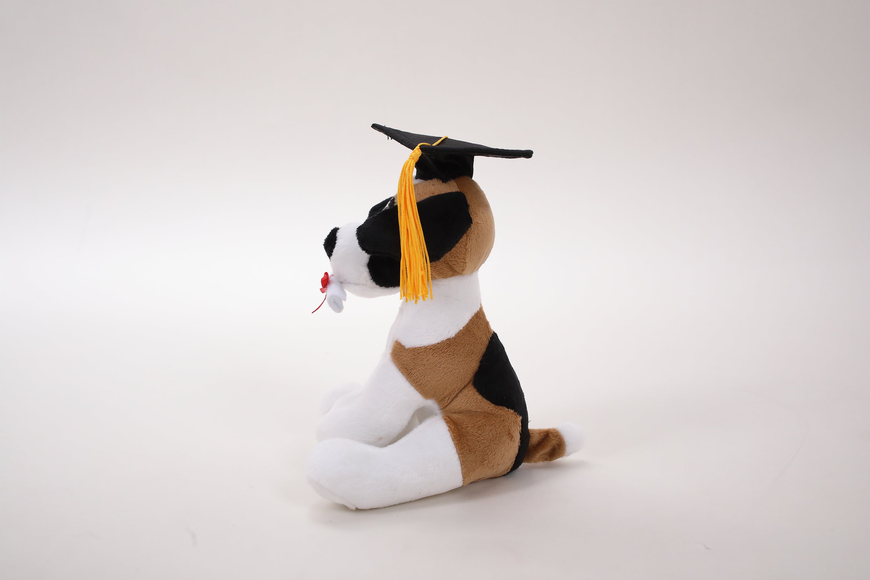 Graduation Cuddly Dog Toy 8"