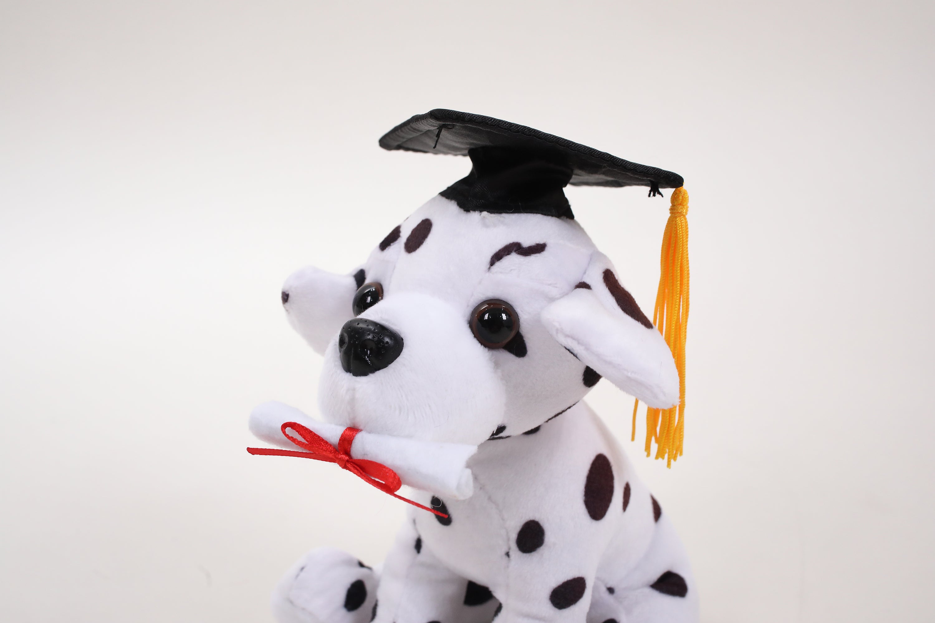 Graduation Cuddly Dog Toy 8"