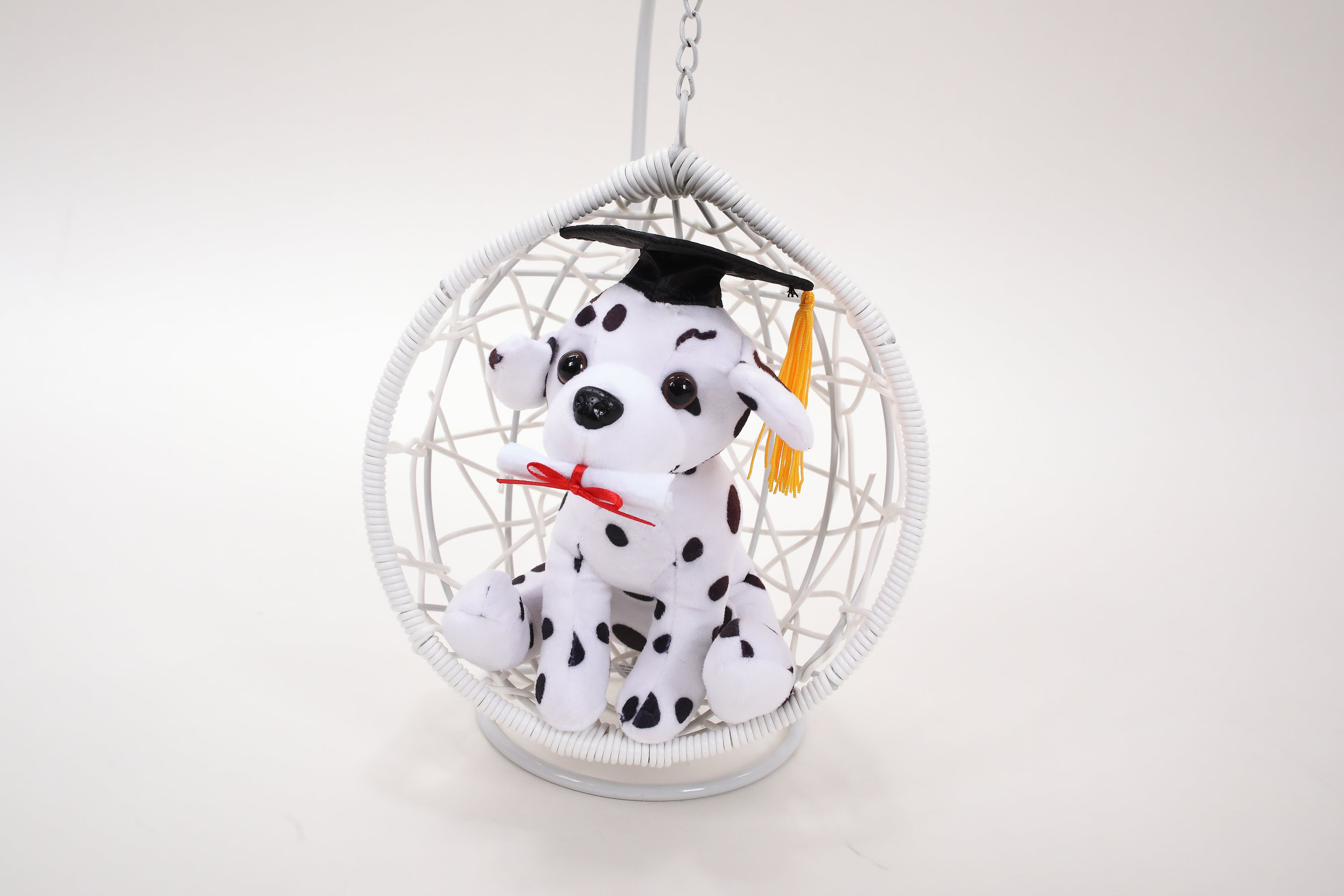 Graduation Cuddly Dog Toy 8"