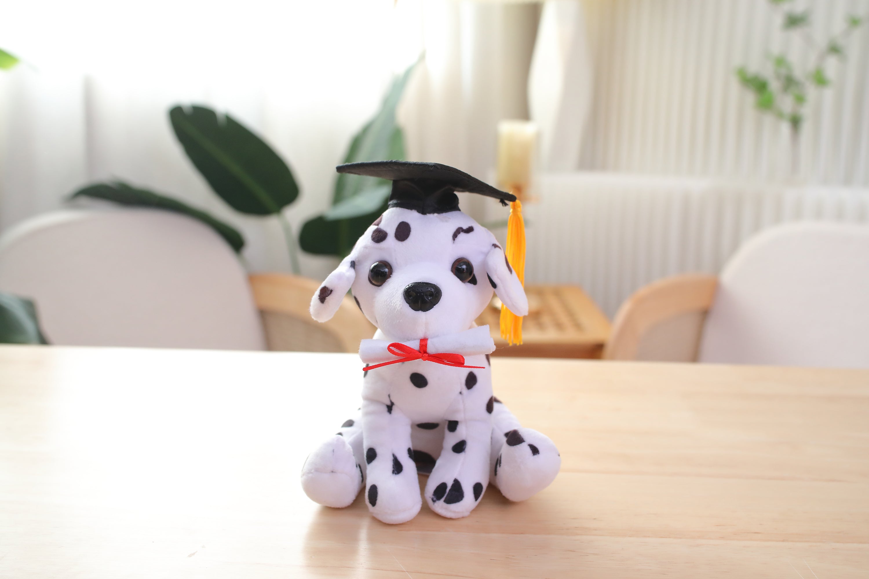 Graduation Cuddly Dog Toy 8"