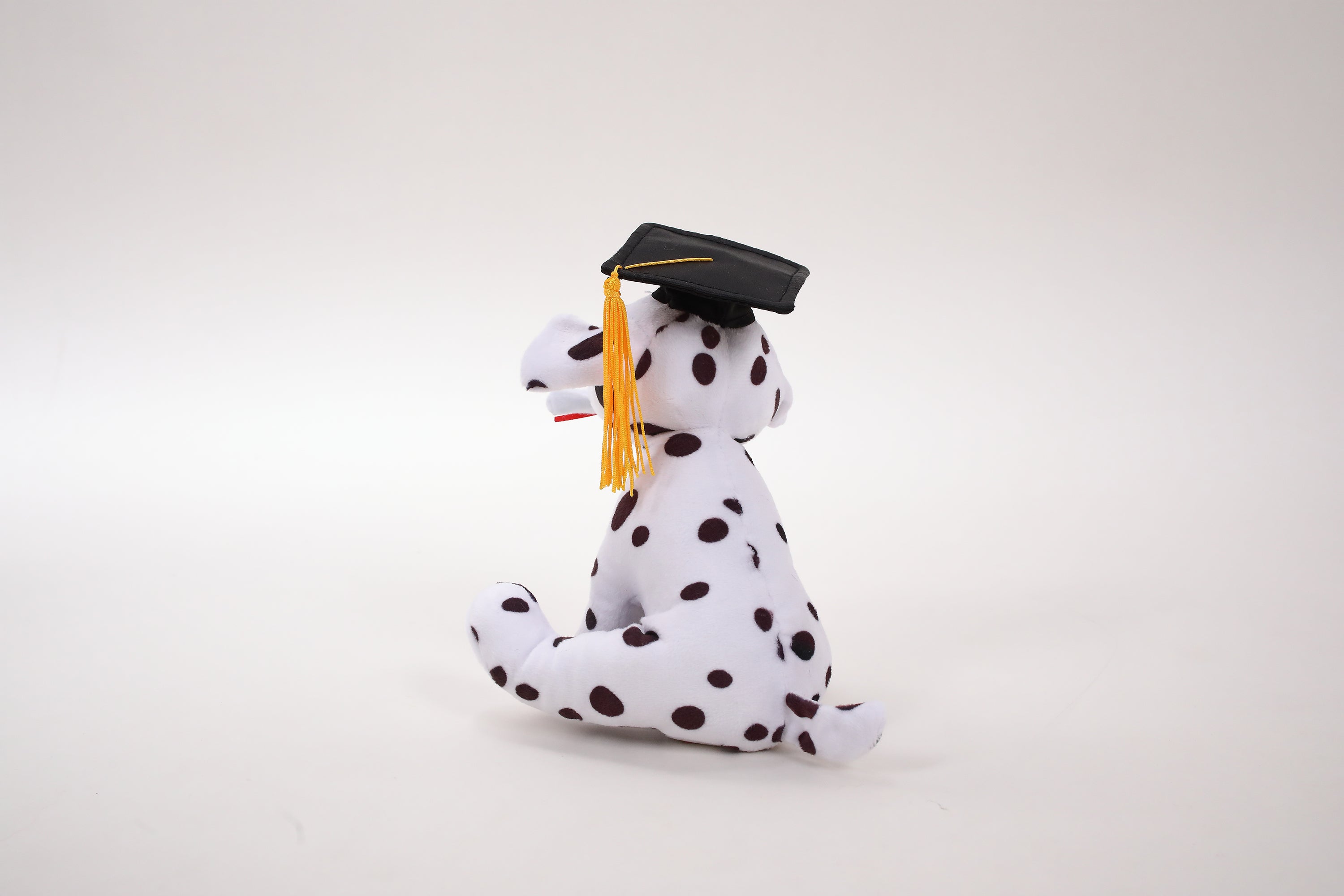 Graduation Cuddly Dog Toy 8"