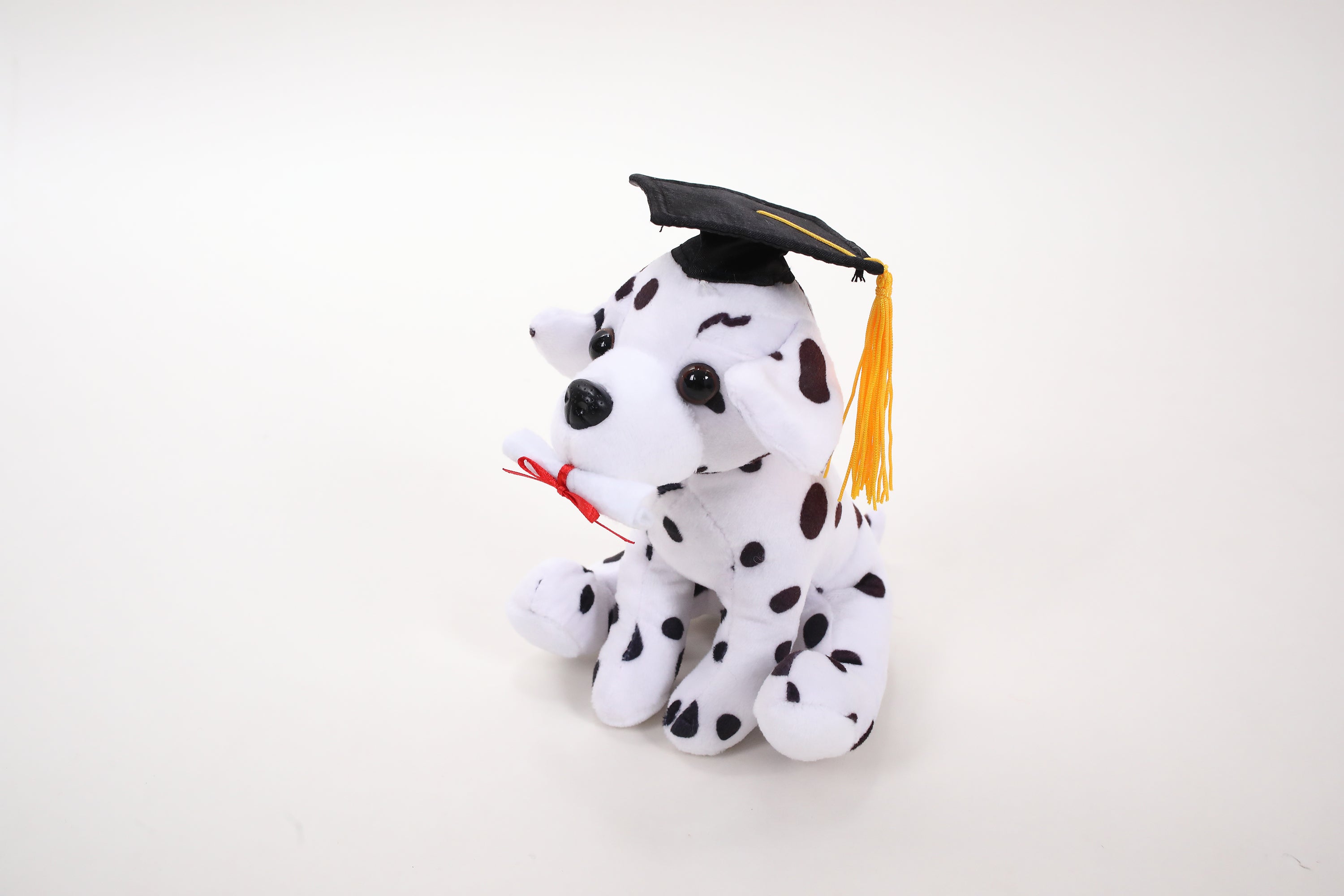 Graduation Cuddly Dog Toy 8"