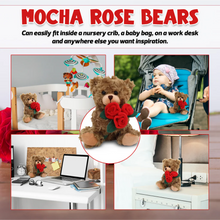 Mocha Rose Bear 6''