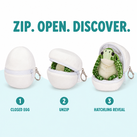 Sea Turtle Hatchling Egg (soft) 4" - additional plush stuffed animal photo 10