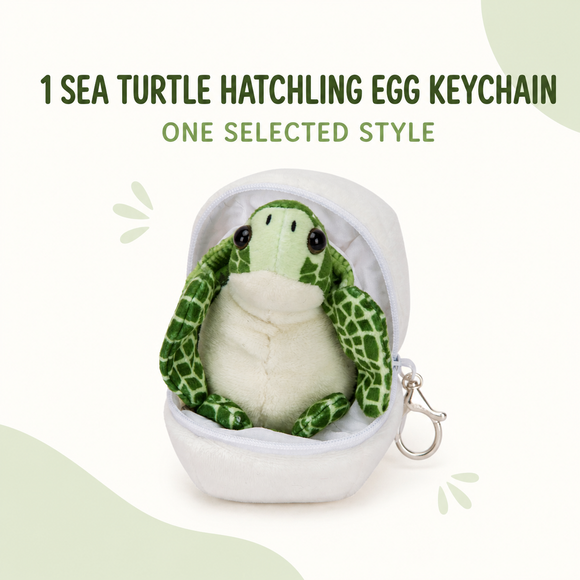 Sea Turtle Hatchling Egg (soft) 4" - additional plush stuffed animal photo 14