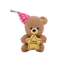 Birthday Star Bear with Hat 8"-1