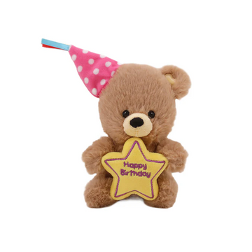Birthday Star Bear with Hat 8"