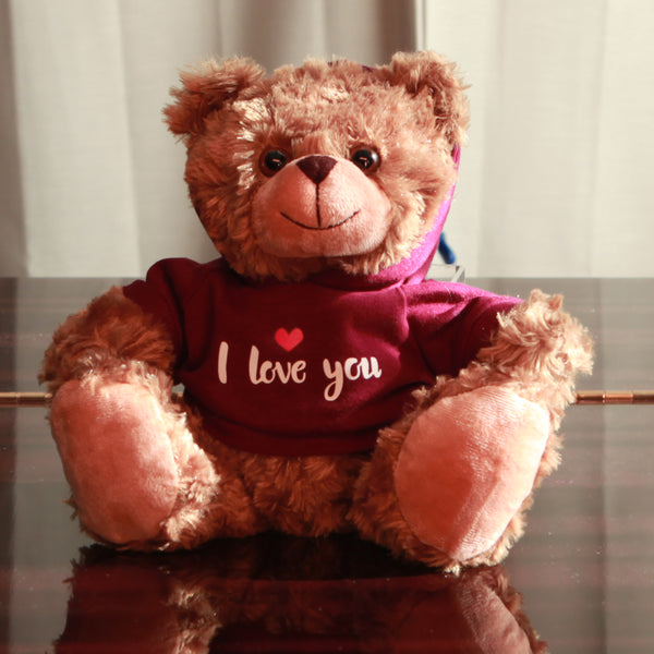 teddy bear valentines day, valentine teddy bear, valentines teddy bear, valentines day teddy bear, teddy bear valentines, valentine teddy bearsvalentine's day plush toys, plush toys for valentines, valentine plush toys