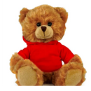 Customized Mocha Bear with Hoodie, Sitting, 11"-4