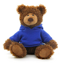 Frankie Bear with Hoodie 10"-1