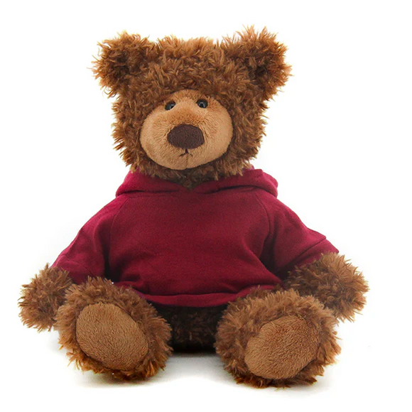 Frankie Bear with Hoodie 10"