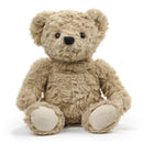 Brown Curly Teddy Bear Plush 9"-1