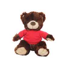 Valentine Day Teddy Bear Personalized Shirt Stuffed Animal 12 Inches