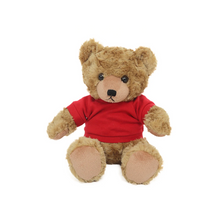 Valentine Day Teddy Bear Personalized Shirt Stuffed Animal 12 Inches