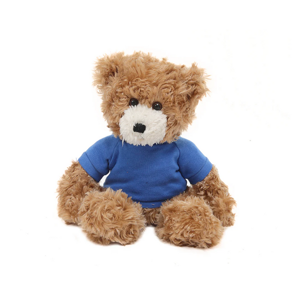 Valentine Day Teddy Bear Personalized Shirt Stuffed Animal 12 Inches