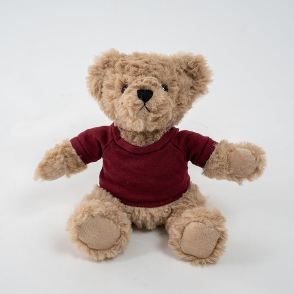 Coco the Curly 6" Teddy Bear Plush Toy with Custom Tee