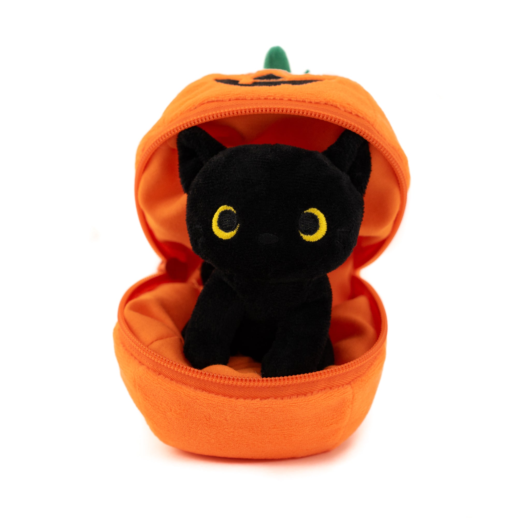Zip Up Black Cat 6''