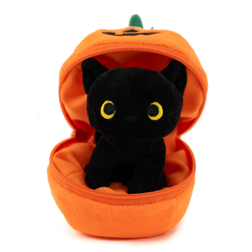 Zip Up Black Cat 6''